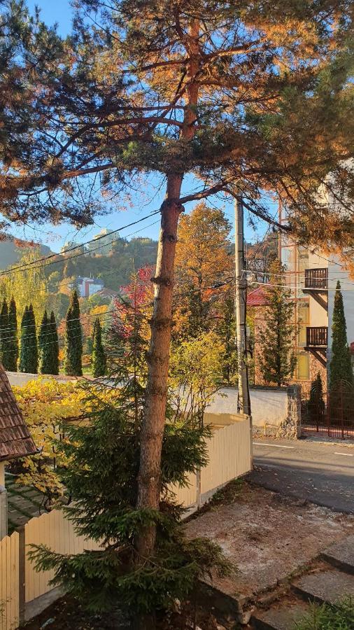 Central Luxury Apartment With City View Braşov Exterior foto