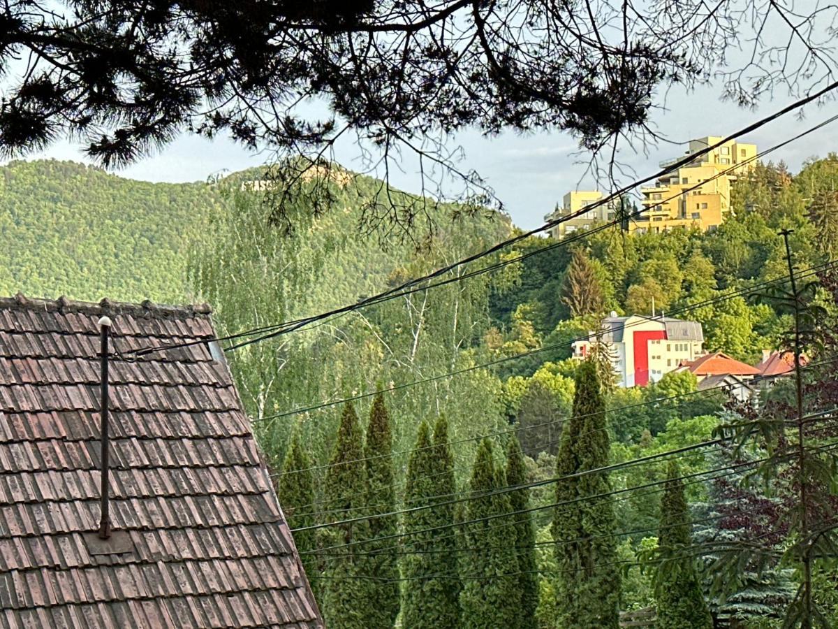 Central Luxury Apartment With City View Braşov Exterior foto